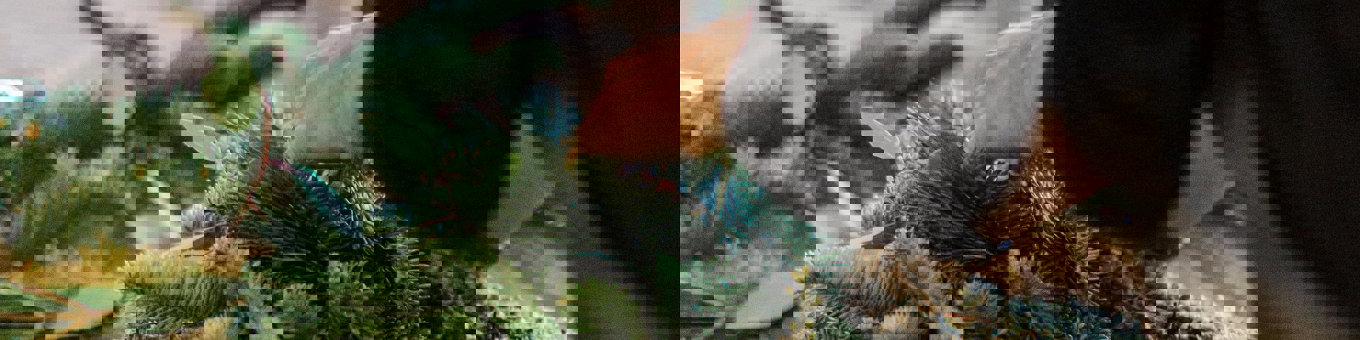 Christmas Wreath Making & Clay Shooting Event at Bisley