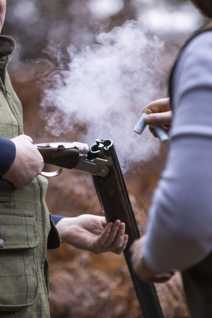 Simulated Game Days at Bisley