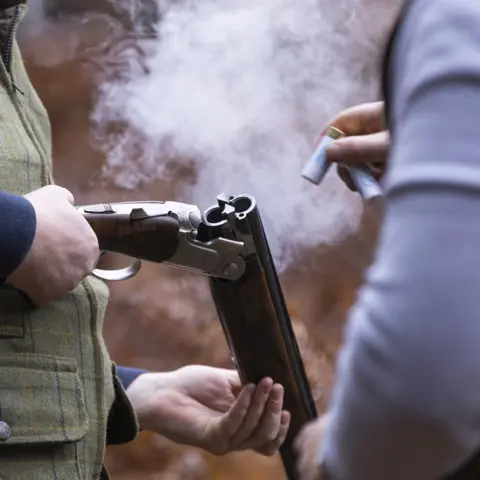 Simulated Game Days at Bisley