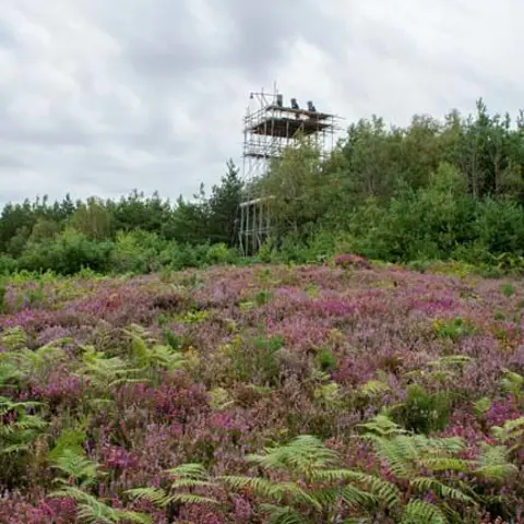 Cottesloe Heath
