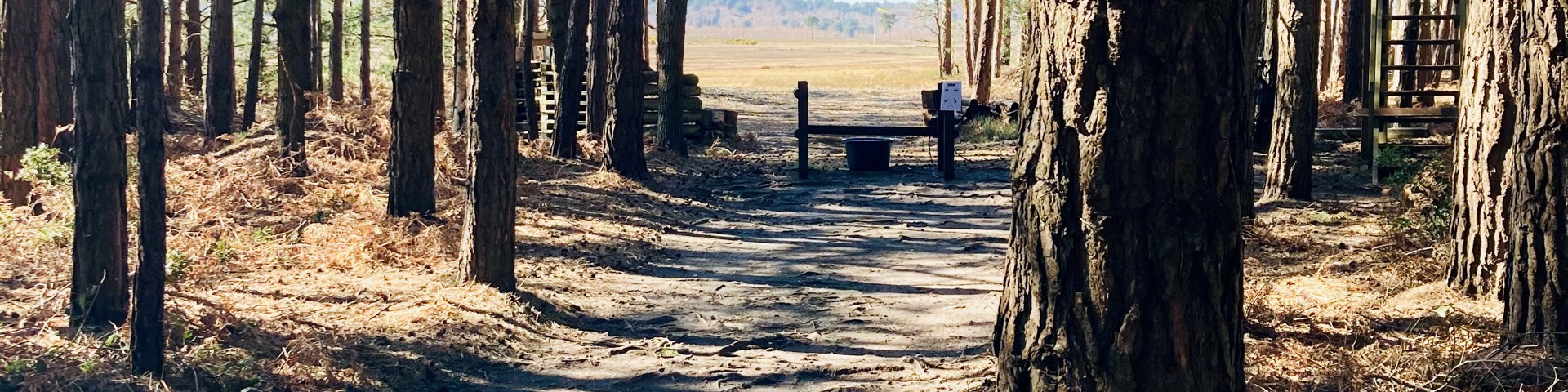 Bisley Premier Club Clay Shooting Membership