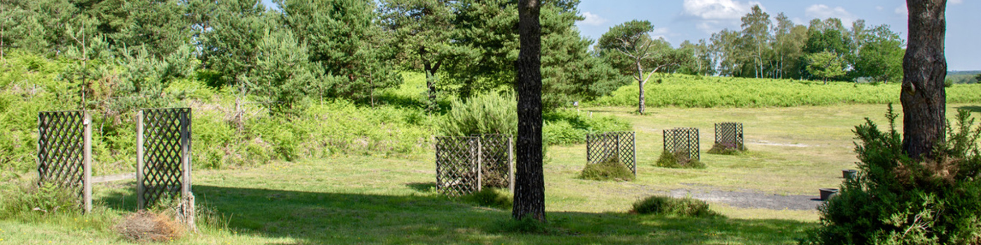 'What's On' at Bisley Shooting Ground